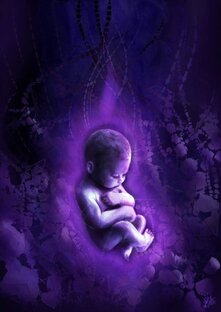 Дети двухтысячники 