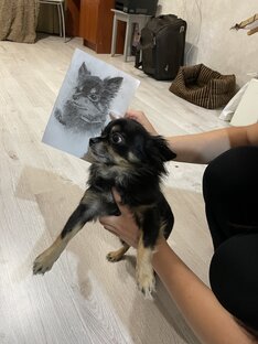 Филя ! Моя любимая собачка и друг🐕‍🦺