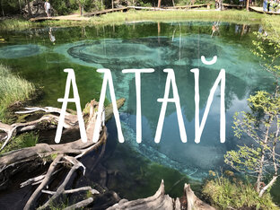 АЛТАЙ