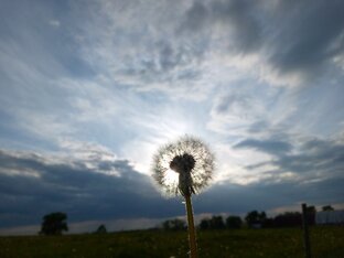 Природа 