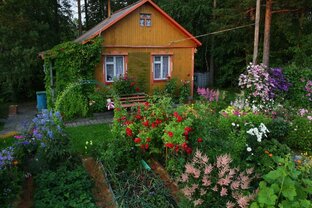 Сад и огород 