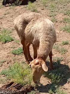Прибавление в семействе.
