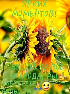 ЛУЧШЕЕ ДЛЯ ВАС!!! 💝💛💝☝️🤩😃