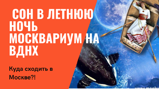 ВДНХ Москвариум. Авто путешествие с детьми по России 