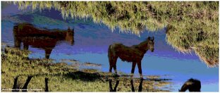 Третья серия. Варламовские субботы