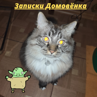 Записки Домовёнка