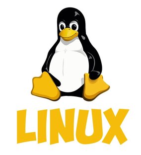 Linux во всем своем великолепии