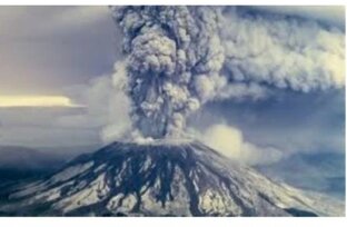 Черная кошка 