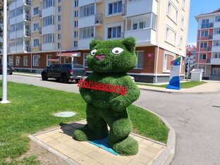 Бархатные сезоны -  один из самых популярных отелей Сочи. Его плюсы и минусы. 