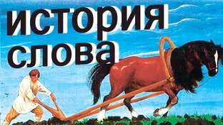 История слов и выражений
