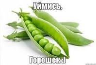 Криком суда 