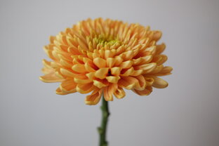 Картинки для заставки