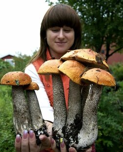 Описания грибов