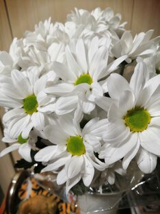 Стихи о природе