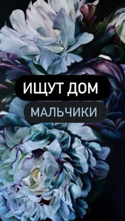 Ищут дом мальчики 