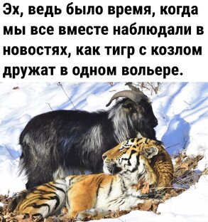 Мем