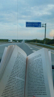 Рецензии. Зарубежные.