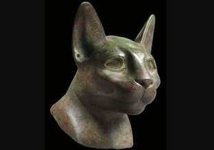 Интересные факты и мифы про кошек