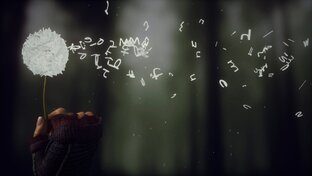 Story of theire lifes!