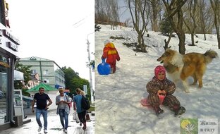 Деревенская жизнь