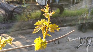 База знаний