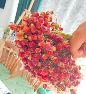Лето в разгаре