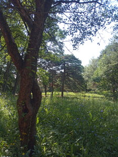 Рассказы о жизни, о людях и их взаимоотношениях...