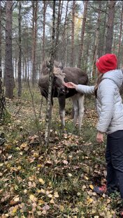 Статьи
