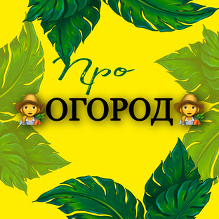 Здесь про овощи/фрукты