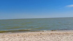 Погода, море. Морские змеи, медузы