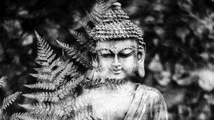 Бесплатные медитации в канале🧘🏼‍♀️ 