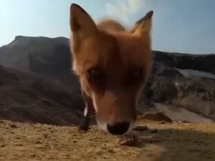 Видео без монтажа,делал все для себя.