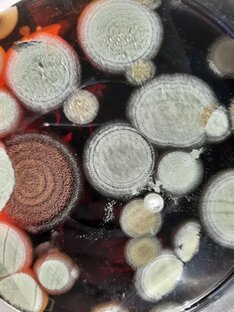 Фантастика