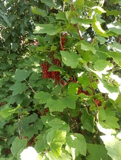 Просто истории