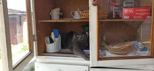 Ремонт дома в деревне