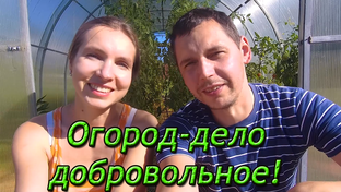 Наш сад и огород!
