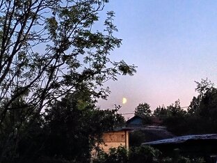 Как упоительны на даче вечера. И дни