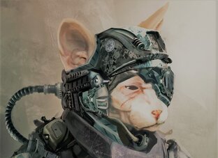 Военные стратегии