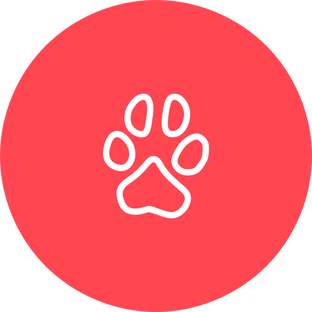 Уxод за кошкой 