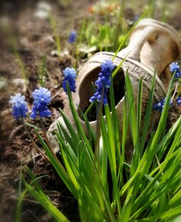 Просто фото. 