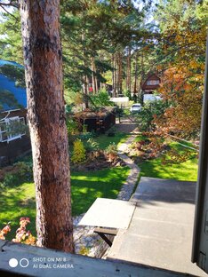 Сад, огород, цветочки наши 😊