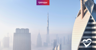 Тренды