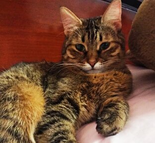 Полезные советы