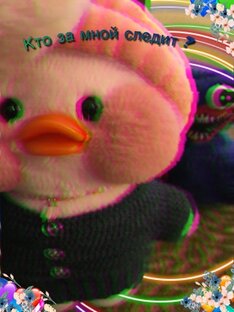 🐤Кто за мной следит следит🐥