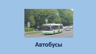 Автобусы