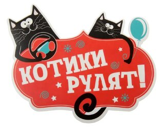 Жизнь моих котов