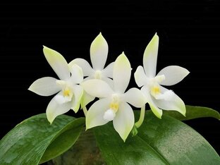 ЗДОРОВЬЕ и КРАСОТА