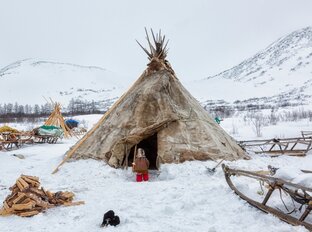 Ямал и ненцы