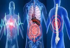 Что творится с организмом в запое и на отходняке.