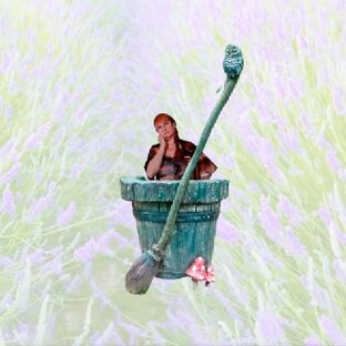 Порядок в доме